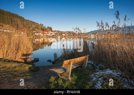 Vista sulla Hopfensee al villaggio di Hopfen in inverno la luce del sole di sera con panca in legno e canneti in primo piano. Foto Stock