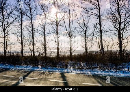 Hel penisola nel periodo invernale. Fila di alberi da Pucka Lato Baia Foto Stock