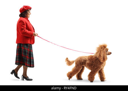 Lunghezza piena ripresa del profilo di una donna anziana di camminare un rosso cane barboncino isolati su sfondo bianco Foto Stock