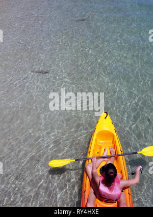 Ragazze in kayak la visualizzazione di novellame di blacktip squali di barriera (Carcharhinus melanopterus) nei fondali bassi a Fitzroy Island, della Grande Barriera Corallina Foto Stock