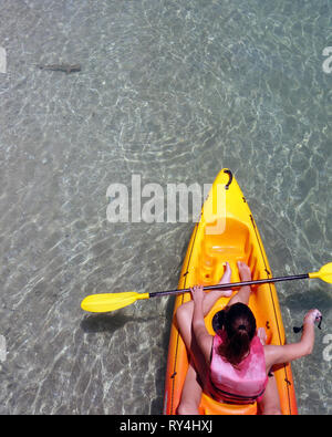 Ragazze in kayak la visualizzazione di novellame di blacktip squali di barriera (Carcharhinus melanopterus) nei fondali bassi a Fitzroy Island, della Grande Barriera Corallina Foto Stock