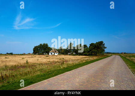 Idilliaco paesaggio di campagna con reed casa sull isola di Hiddensee Foto Stock