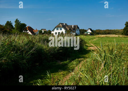 Idilliaco paesaggio di campagna con reed casa sull isola di Hiddensee Foto Stock