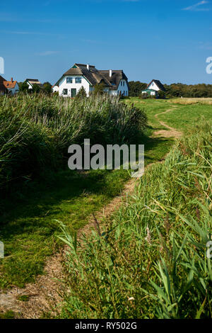 Idilliaco paesaggio di campagna con reed casa sull isola di Hiddensee Foto Stock