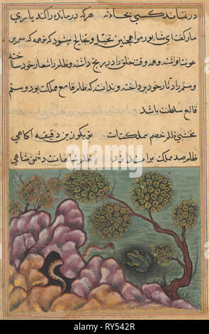 Pagina da racconti di un pappagallo (Tuti-nama): Ventiseiesima notte: la rana detronizzato Shapur cerca l'aiuto del serpente, c. 1560. India, Mughal, regno di Akbar, del XVI secolo. Acquerello opaco, inchiostro e oro su carta Foto Stock