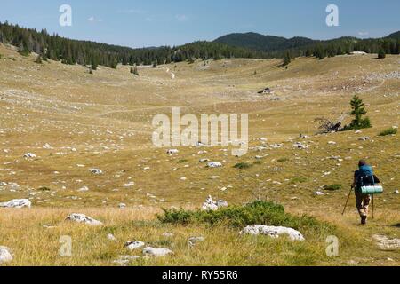 Francia, Isere, Vercors riserva naturale nazionale, l'Altopiano di Vercors, Correncon en Vercors, Femmina gli escursionisti a piedi Foto Stock