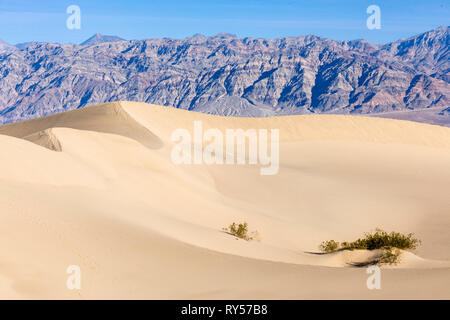 Mesquite Flat Sand Dunes è una vasta area di dune di sabbia fritte di montagna nella Valle della morte e un luogo turistico di prim'ordine per escursionisti e fotografi. Foto Stock