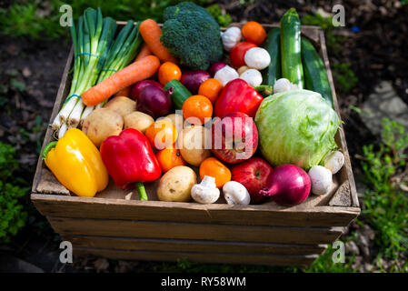 Un vintage gabbia in legno riempita con colorati di frutta fresca e verdura a promuovere una sana vita vegan Foto Stock