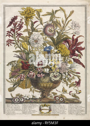 Dodici mesi di fiori: Settembre, 1730. Henry Fletcher (British, attivo 1715-38). Incisione, colorate a mano; platemark: 40,8 x 31,2 cm (16 1/16 x 12 5/16 in.); carta: 46,7 x 35,5 cm (18 3/8 x 14 in. Foto Stock