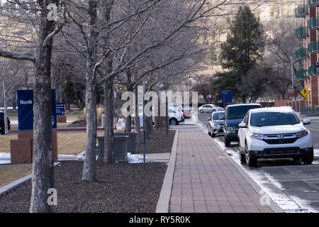 Fila di alberi lungo un percorso presso la Northern Arizona University di Flagstaff, in Arizona. Foto Stock