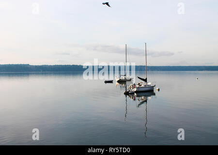 Due barche a vela sulle calme acque del Puget Sound a spiaggia Joemma nello Stato di Washington mentre un uccello vola tettuccio Foto Stock
