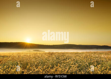 L'italiano splendido paesaggio, foggy campi della Toscana nella luce del sole che sorge Foto Stock