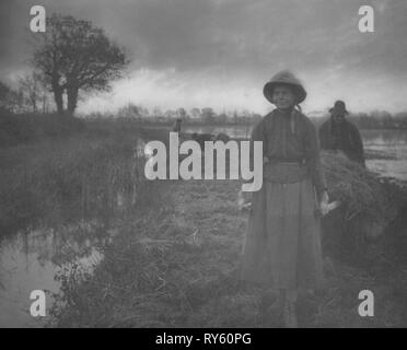 La vita e il paesaggio sul Norfolk Broads (libro): la polarizzazione il fieno di palude, 1886. Peter Henry Emerson (British, 1856-1936), Sampson bassa, Marston, Searle, e Rivington [con T. F. Goodall. Platinum print; immagine: 23,3 x 28,8 cm (9 3/16 x 11 5/16 in.); mascherino: 45,7 x 55,9 cm (18 x 22 Foto Stock