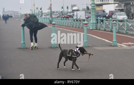 Brighton, Regno Unito. Xii Mar, 2019. Non è facile per il pattino lungo Brighton Seafront come tempesta Gareth arriva in Gran Bretagna e in Irlanda con velocità del vento previsione di raggiungere fino a 70 mph in alcune aree Credito: Simon Dack/Alamy Live News Foto Stock