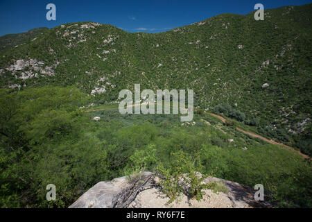 Rio Sonora, MPO. Ures, Sonora, Messico Foto Stock