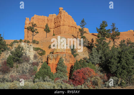 Esplorare le hoodoos di Red Canyon dello Utah e la sua Claron Limstone formazioni rocciose. Guidare il percorso migliore per il Parco Nazionale di Zion e Bryce Canyon National Par Foto Stock