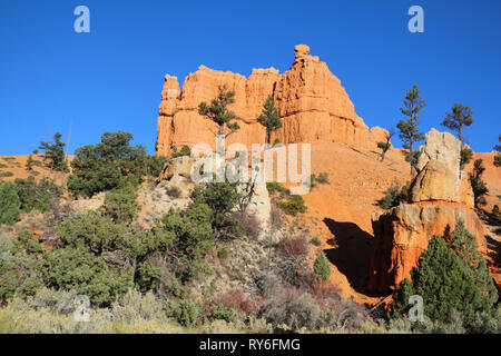 Esplorare le hoodoos di Red Canyon dello Utah e la sua Claron Limstone formazioni rocciose. Guidare il percorso migliore per il Parco Nazionale di Zion e Bryce Canyon National Par Foto Stock