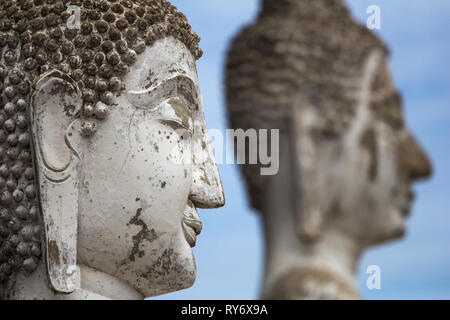 Teste di Buddha sul cielo azzurro sfondo in Ayutthaya Foto Stock