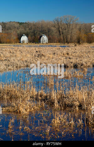 Twin fienili da torre di osservazione lungo Nisqually estuario Boardwalk Trail, Billy Frank Jr Nisqually National Wildlife Refuge, Washington Foto Stock