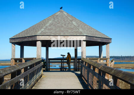 Piattaforma di visualizzazione lungo Nisqually estuario Boardwalk Trail, Billy Frank Jr Nisqually National Wildlife Refuge, Washington Foto Stock