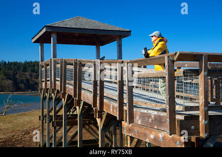 Torre di osservazione lungo Nisqually estuario Boardwalk Trail, Billy Frank Jr Nisqually National Wildlife Refuge, Washington Foto Stock