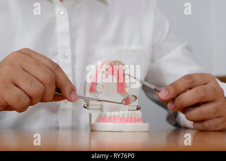 Dentista utilizzando gli strumenti sul modello di denti in studio dentistico/ professional dental clinic, medici e dentisti concept Foto Stock