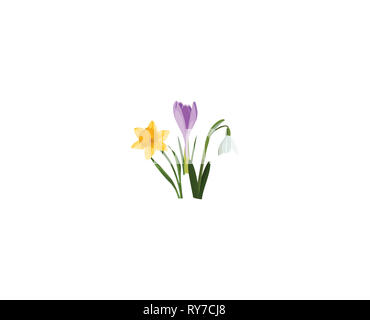 Frontiera senza giunture con fiori di primavera. Bouquet di Crochi, narcisi, snowdrop su bianco. Illustrazione botanica. Colorato. Foto Stock