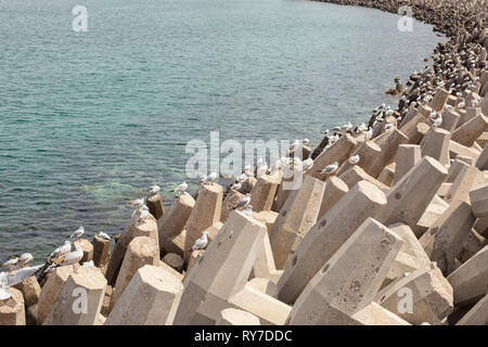 La bellissima Corniche, sulla baia di Muttrah, in Muscat, capitale di Oman Foto Stock