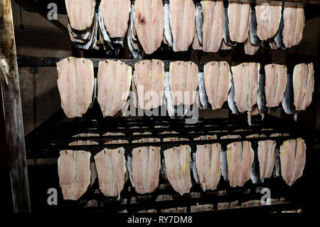 Materie con salmone essendo preparato per fumare a Mori con salmone, un azienda di famiglia sin dal 1770, in Peel sulla costa occidentale dell'Isola di Man, Gran Bretagna. A pochi Foto Stock