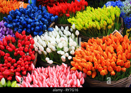 Fake colorati tulipani. Qui sono i soliti souvenir e regali ha portato a casa da un viaggio ad Amsterdam Foto Stock