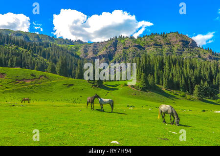 Karakol Gorge Resort con paesaggio Snow capped Terskey Ala troppo la gamma della montagna di cavalli Foto Stock