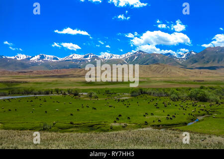 Kochkor Chuy Valley Paesaggio con fiume allevamento di pecore e Snow capped Terskey Ala troppo la gamma della montagna Foto Stock