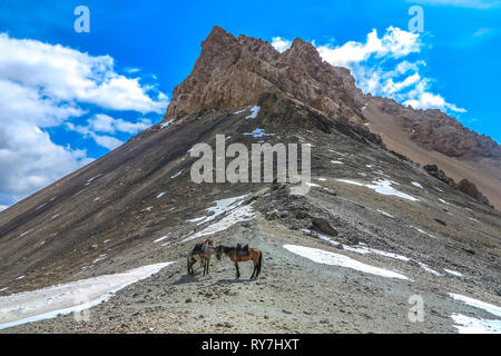 Tash Rabat Caravanserai paesaggio con Snow capped a Bashy troppo la gamma della montagna di picco e cavalli Foto Stock