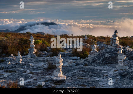 Rock Pali su Table Mountain sostenuta da Constantiaberg montagna, Cape Town, Western Cape, Sud Africa Foto Stock