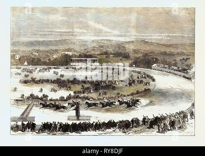 Cork Park gare: il Grand National Siepi 1869 Foto Stock