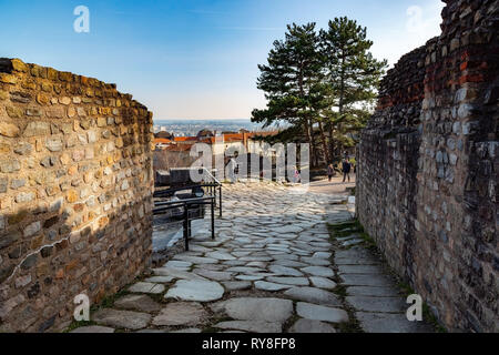 Strada nel teatro romano gallo, collina Fourvière, Lione Foto Stock