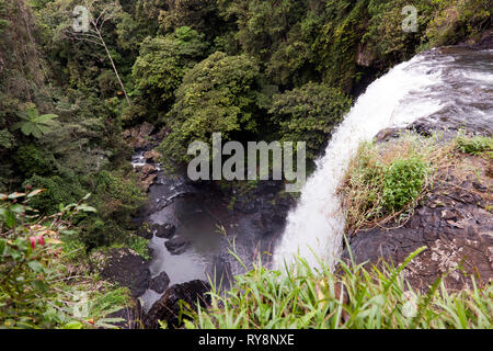 Vista dalla cima del Zillie Falls, altopiano di Atherton, estremo Nord Queensland, Australia Foto Stock