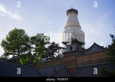 Gigante stupa buddisti, Wutai Shan, Shanxi, Cina Foto Stock