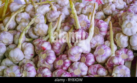 Grande bianco garlics fresco sulle caselle a tavola per essere venduti per i clienti nel mercato Foto Stock