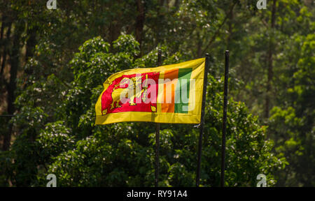 Asia, Sri Lanka, Nuwara Eliya, Sri Lanka bandiera nazionale Foto Stock