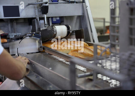 Pane cotto in fase di elaborazione su linea di produzione in fabbrica Foto Stock