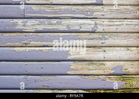 Peeling blu violaceo vernice sulle vecchie tavole di legno della facciata di una casa in Islanda Foto Stock