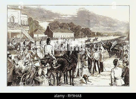 Il Camp la vita al Curragh: il Derby Irlandese, preparatorie di galoppo, 1 Agosto 1874 Foto Stock