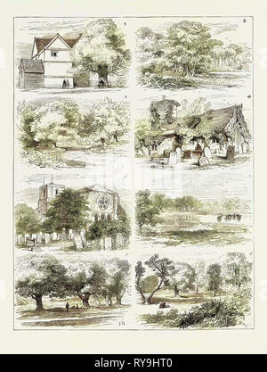 La conservazione della Foresta di Epping 1. Queen Elizabeth's Lodge, La Foresta di Epping. 2. Whipp Cross. 3. Banche Ambresbury: Regina Boadicea's Camp. 4. Rovine di Chingford Chiesa. 5. Waltham Abbey. 6. Il Laghetto di cava, la Foresta di Epping. 7. Queen Elizabeth's radure, La Foresta di Epping. 8. Alta nelle radure di faggio, la Foresta di Epping Foto Stock