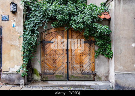 Vecchia porta di legno ricoperta di verde edera Foto Stock