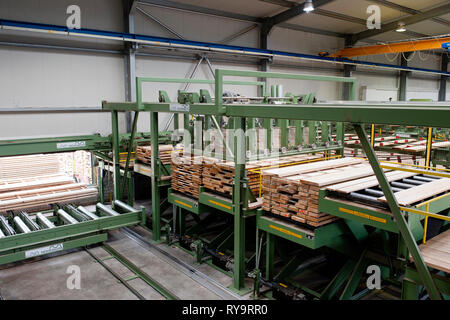 Legname sul nastro trasportatore in fabbrica Foto Stock