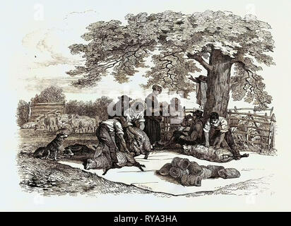 Foto agricoli: Sheep-Shearing, 1846 Foto Stock