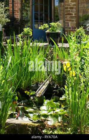 Una piccola fontana da laghetto in giardino inglese Foto Stock
