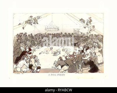 Thomas Rowlandson (British, 1756 1827 ), una lotta contro il cane, 1811, lato attacco colorati Foto Stock