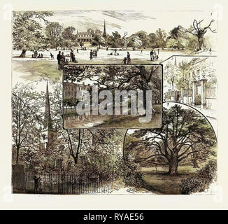 Spazi di respirazione per Londra, Clissold Park, Stoke Newington, aperto al pubblico la domenica: 1. Il campo Horse-Shoe. 2. Il paradiso di riga e il nuovo River. 3. In Church Street. 4. Il vecchio albero di Yew nel giardino. 5. La vecchia chiesa. Regno Unito Foto Stock